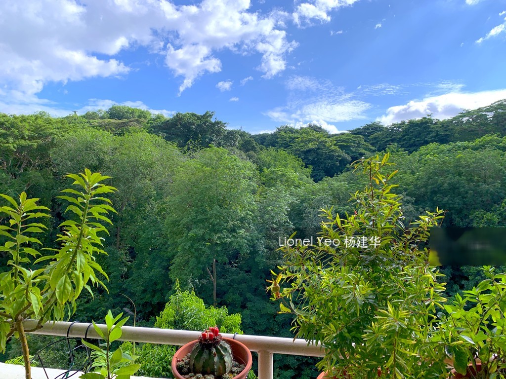 Telok Blangah Heights thumbnail photo